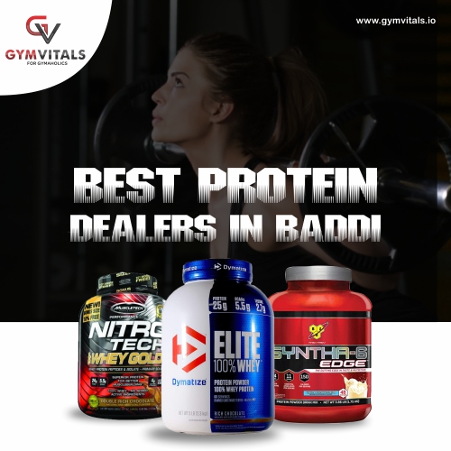 Best Protein Dealers In Baddi